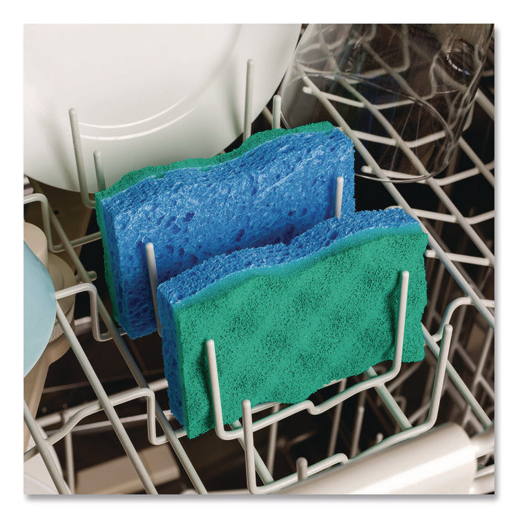 Scrunge Non-Scratch Scrub Sponge, 2.63" x 4.25", 1" Thick, Green/Blue, 2/Pack, 8 Packs/Carton