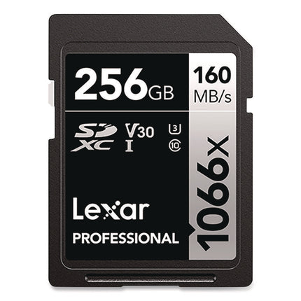 Professional SILVER Series SDXC Memory Card, UHS-I V30 U1 Class 10, 256 GB