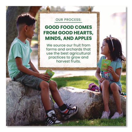 Fruit on the Go, (10) Apple/(10) Apple Cinnamon, 3.2 oz Pouch, 20/Box