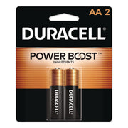 Power Boost CopperTop Alkaline AA Batteries, 2/Pack