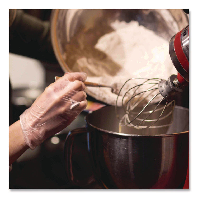 Vinyl Exam Gloves, Powder-Free, Large, Clear, 100/box