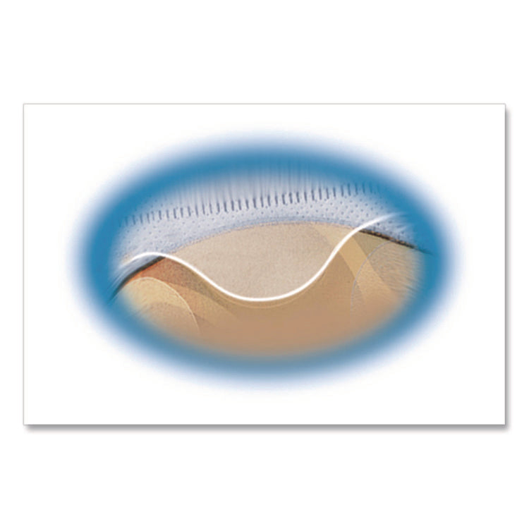 Two-Sided CD Organizer Sheets for Three-Ring Binder, 4 Disc Capacity, Clear, 5/Pack