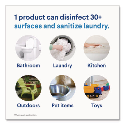 Concentrated Regular Disinfecting Bleach, 24 oz Bottle, 12/Carton