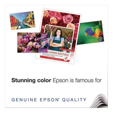 Enhanced Photo Paper, 10 mil, 13 x 19, Matte White, 100/Box