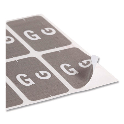 AlphaZ Color-Coded Second Letter Alphabetical Labels, G, 1 x 1.63, Gray, 10/Sheet, 10 Sheets/Pack