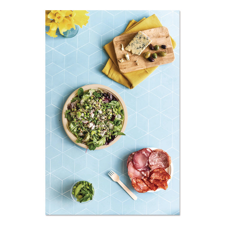 Nourish Molded Fiber Tableware, Compostable, Plate, Sugarcane, 10" dia, White, 500/Carton