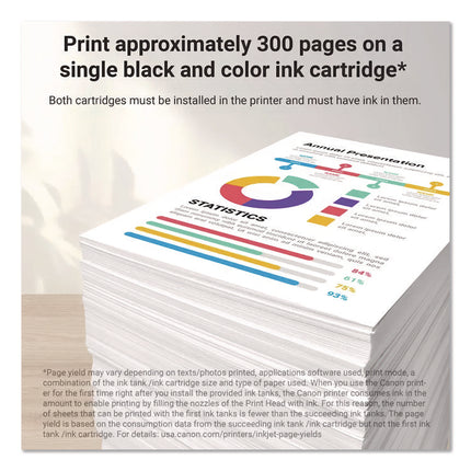 8278B023 (PG-245XL/CL-246XL) High-Yield Ink, Black/Color