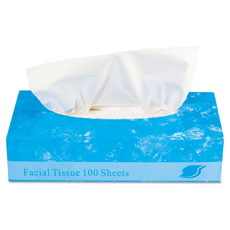 Boxed Facial Tissue, 2-Ply, White, 100 Sheets/Box, 30 Boxes/Carton