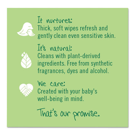 Free and Clear Baby Wipes, 7 x 7, Refill, Unscented, White, 256/Pack, 3 Packs/Carton
