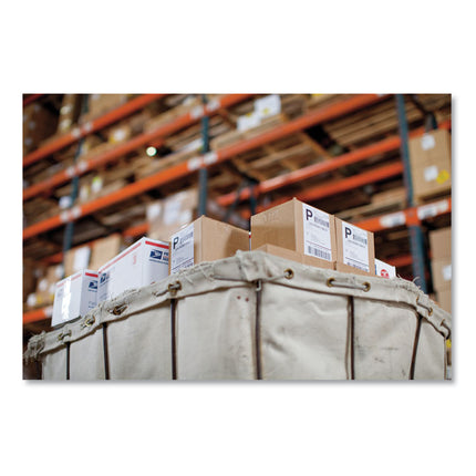 LW Extra-Large Shipping Labels, 4" x 6", White, 220 Labels/Roll, 5 Rolls/Pack