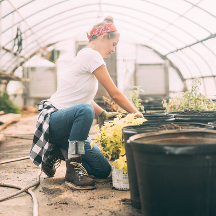Dickies® Men's Industrial Color Block Short-Sleeve Shirt / 24BKCH