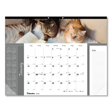 Pets Collection Monthly Desk Pad, Furry Kittens Photography, 22 x 17, White Sheets, Black Binding, 12-Month (Jan-Dec): 2025