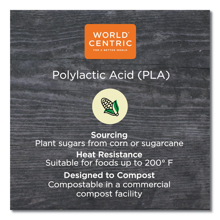 PLA Lids for Hot Cups, Fits 8 oz Hot Cups, Plastic, White, 1,000/Carton