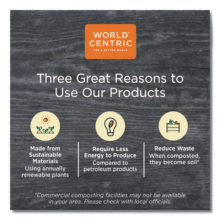 TPLA Compostable Cutlery, Fork, Plastic, White, 1,000/Carton