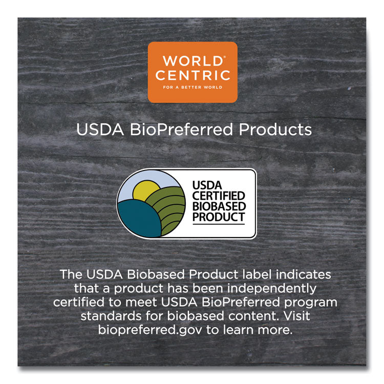 TPLA Compostable Cutlery, Spoon, Plastic, White, 1,000/Carton