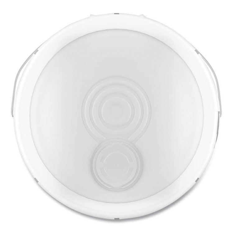 Professional Dishwashing Liquid, Original Scent, 5 Gal Pail