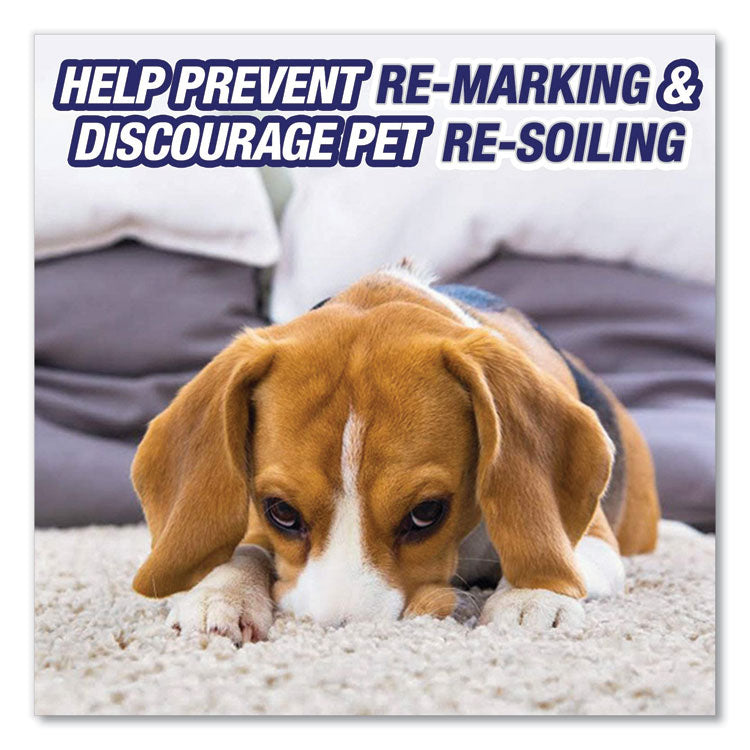 Urine Destroyer, Citrus, 32 Oz Spray Bottle, 6/carton