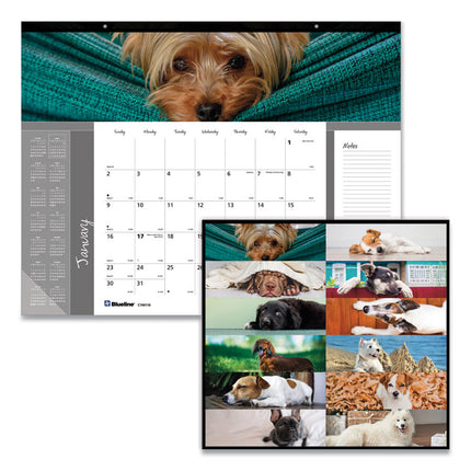 Pets Collection Monthly Desk Pad, Puppies Photography, 22 x 17, Black Binding, Clear Corners, 12-Month (Jan to Dec): 2025