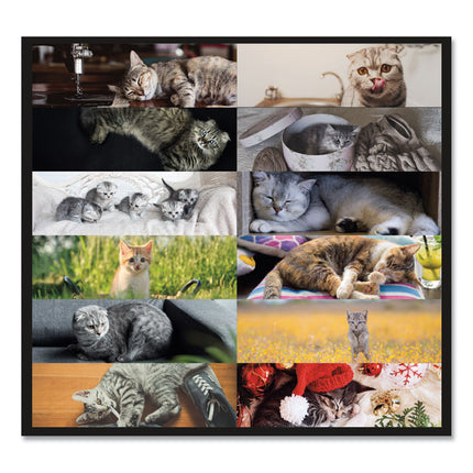 Pets Collection Monthly Desk Pad, Furry Kittens Photography, 22 x 17, White Sheets, Black Binding, 12-Month (Jan-Dec): 2025