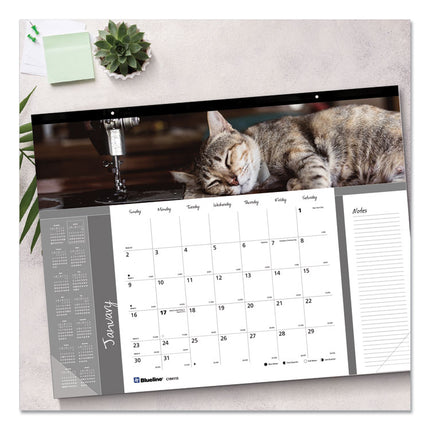Pets Collection Monthly Desk Pad, Furry Kittens Photography, 22 x 17, White Sheets, Black Binding, 12-Month (Jan-Dec): 2025