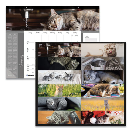 Pets Collection Monthly Desk Pad, Furry Kittens Photography, 22 x 17, White Sheets, Black Binding, 12-Month (Jan-Dec): 2025