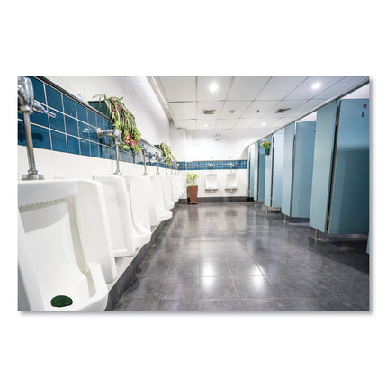 Eco-Fresh Urinal Block, Non-Para, Green Apple, Green, 12/box, 12 Boxes/carton