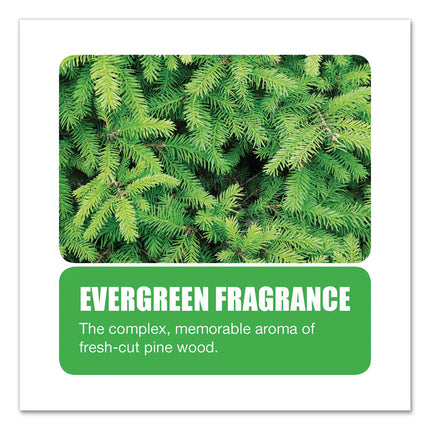 Non-Para Toilet Bowl Block, Lasts 30 Days, Evergreen Scent, White, 12/box