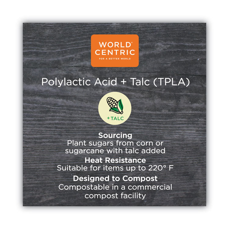 TPLA Compostable Cutlery, Spoon, Plastic, White, 750/Carton