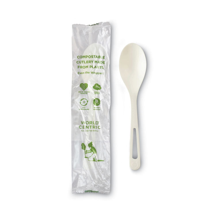TPLA Compostable Cutlery, Spoon, Plastic, White, 750/Carton