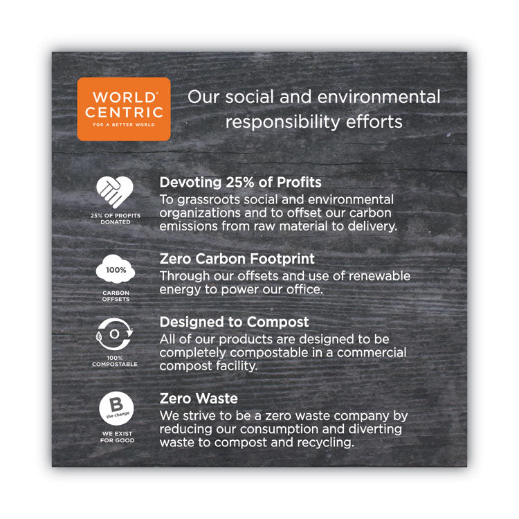 TPLA Compostable Cutlery, Spoon, Plastic, White, 750/Carton