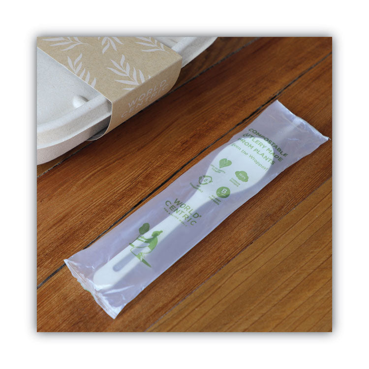 TPLA Compostable Cutlery, Spoon, Plastic, White, 750/Carton