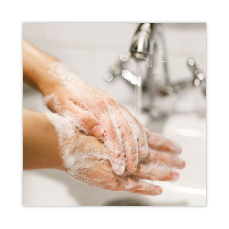 Basics MP Free Liquid Hand Soap Refill, Unscented, 1 L, 8/Carton