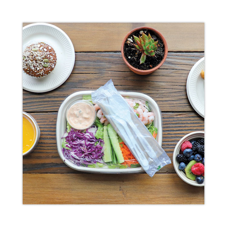 TPLA Compostable Cutlery Kit, Fork/Knife/Napkin/Spoon, Plastic, White, 250/Carton