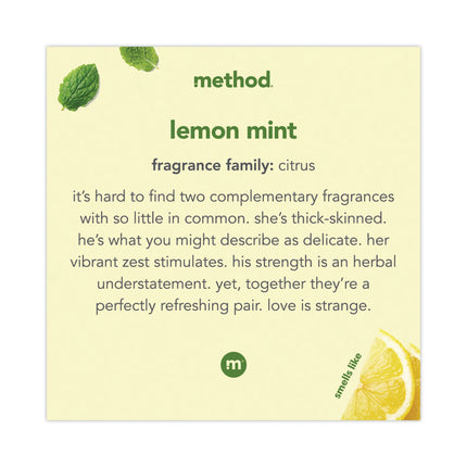 Foaming Hand Wash, Lemon Mint Scent, 10 oz