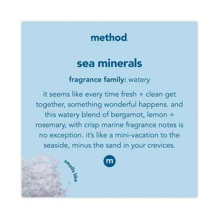 Foaming Hand Wash, Sea Minerals Scent, 10 oz