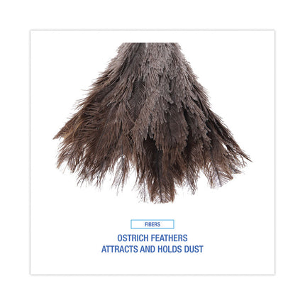 Professional Ostrich Feather Duster, 6" Wood Handle