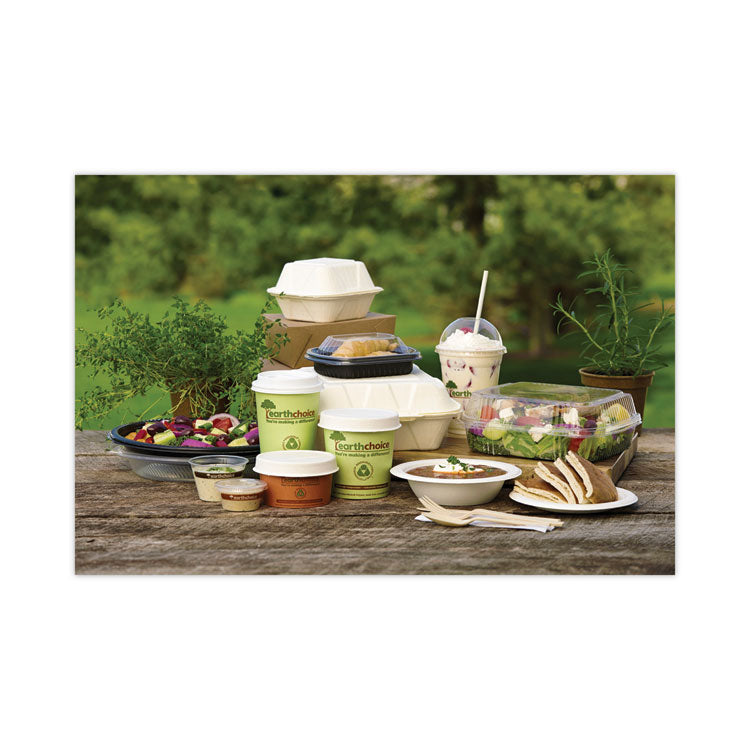 EarthChoice Bagasse Hinged Lid Container, 3 Compartments, Dual Tab Lock, 7.8 x 7.8 x 2.8, Natural, Sugarcane, 150/Carton