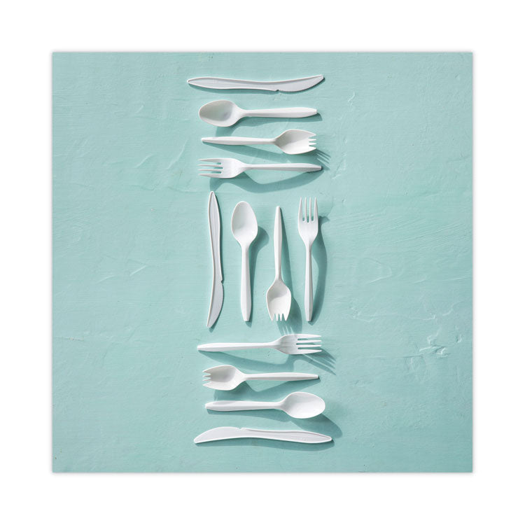 Fieldware Cutlery, Mediumweight Spoon, Plastic, White, 1,000/Carton