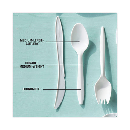 Fieldware Cutlery, Mediumweight Spoon, Plastic, White, 1,000/Carton
