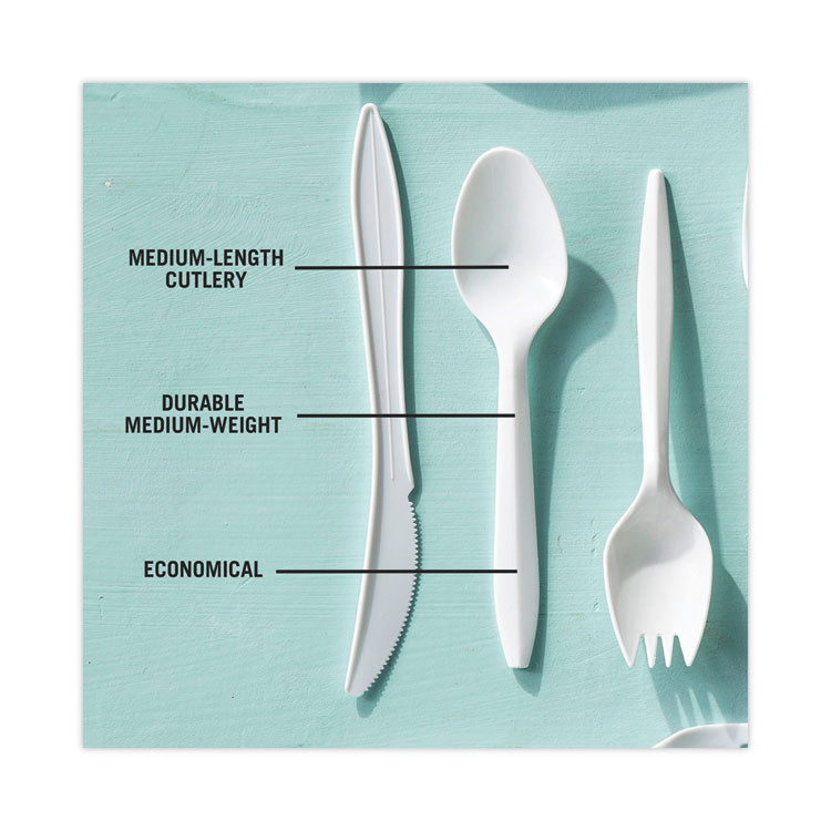 Fieldware Cutlery, Mediumweight Spoon, Plastic, White, 1,000/Carton