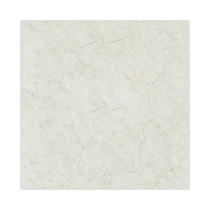 Natural Burnishing Floor Pads, 20" Diameter, White, 5/carton