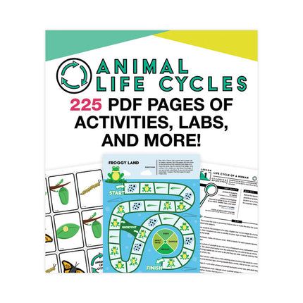 In a Flash USB, Animal Lifestyles, Ages 5-8, 225 Pages