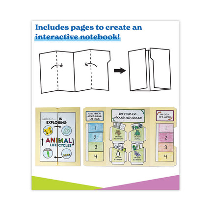 In a Flash USB, Animal Lifestyles, Ages 5-8, 225 Pages