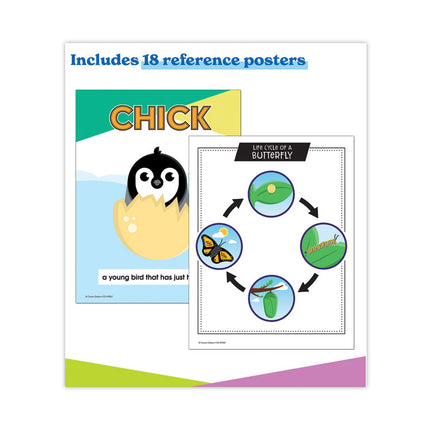 In a Flash USB, Animal Lifestyles, Ages 5-8, 225 Pages