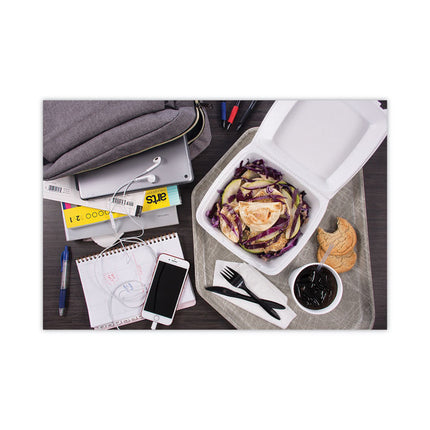 Insulated Foam Hinged Lid Containers, 7.96 x 8.36 x 3.2, White, 100/Pack, 2 Packs/Carton
