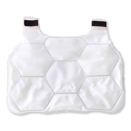 Chill-Its 6220 Phase Change Cooling Vest Charge Packs, Large/X-Large, 14.75 x 18