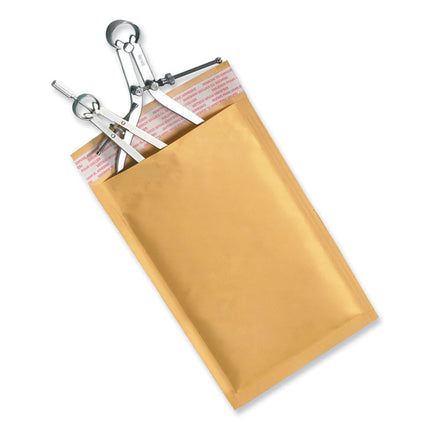 Peel Seal Strip Cushioned Mailer, #0, Extension Flap, Self-Adhesive Closure, 6 x 10, 25/Carton