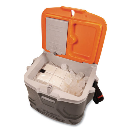 Chill-Its 6250 Lightweight Phase Change Cooling Packs, 6 x 13, 4/Carton
