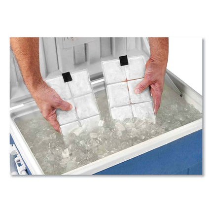 Chill-Its 6250 Lightweight Phase Change Cooling Packs, 6 x 13, 4/Carton