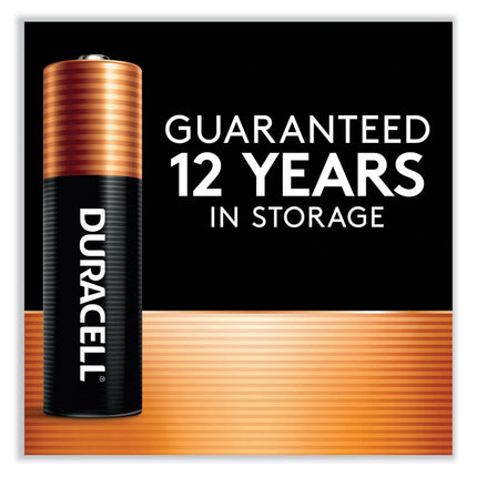 Power Boost CopperTop Alkaline AA Batteries, 10/Pack